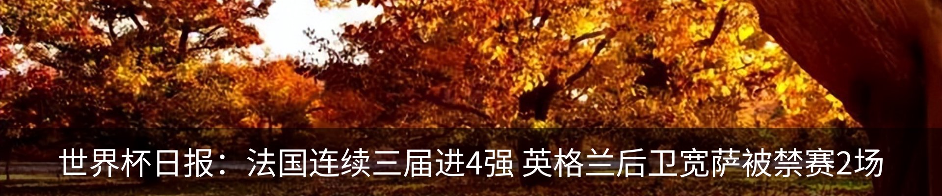 新闻中心
