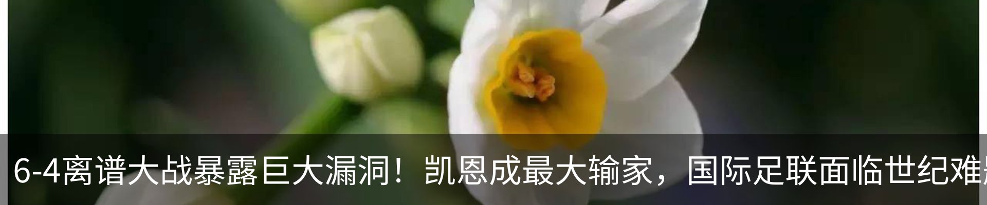 新闻中心